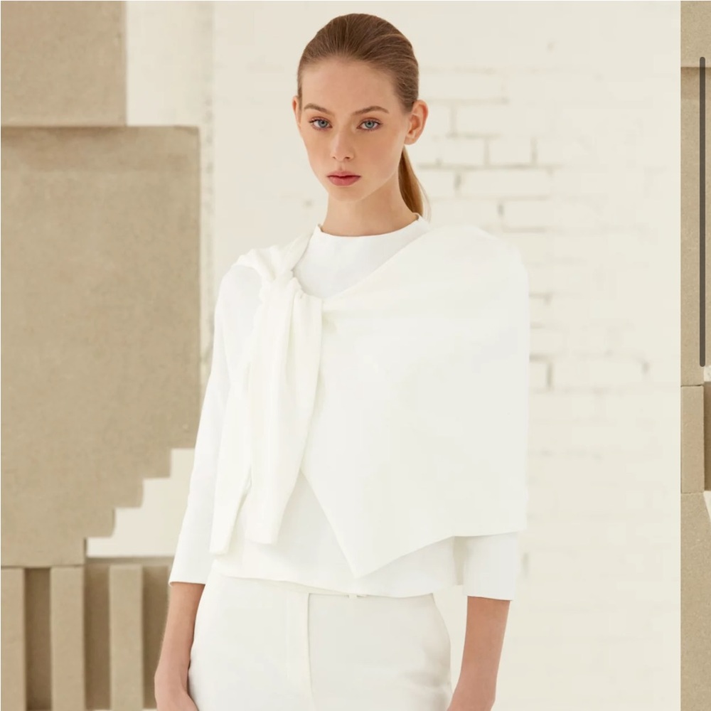 Aritzia Edrei Sweater
